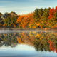 Illustration for article titled 76 Stunning Photos Of Fall Leaves